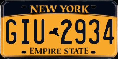 NY license plate GIU2934