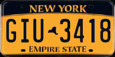 NY license plate GIU3418