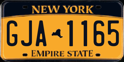 NY license plate GJA1165