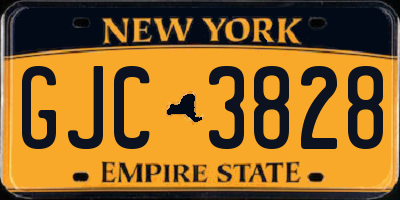 NY license plate GJC3828