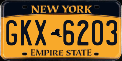NY license plate GKX6203
