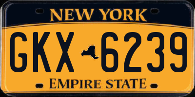 NY license plate GKX6239