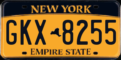 NY license plate GKX8255
