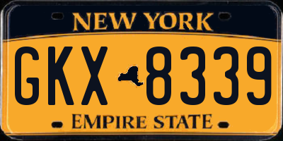 NY license plate GKX8339