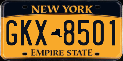 NY license plate GKX8501