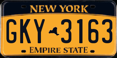NY license plate GKY3163