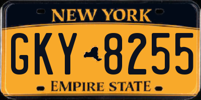 NY license plate GKY8255