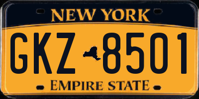 NY license plate GKZ8501