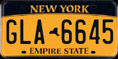 NY license plate GLA6645