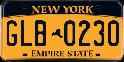 NY license plate GLB0230