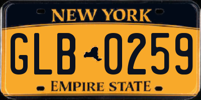 NY license plate GLB0259