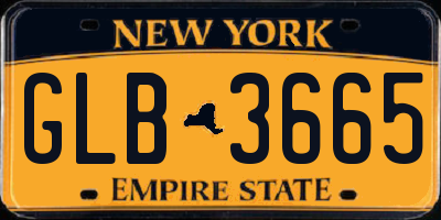 NY license plate GLB3665