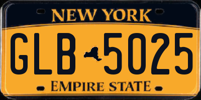 NY license plate GLB5025