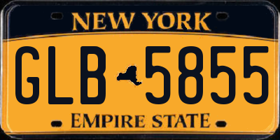 NY license plate GLB5855