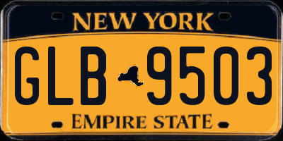 NY license plate GLB9503