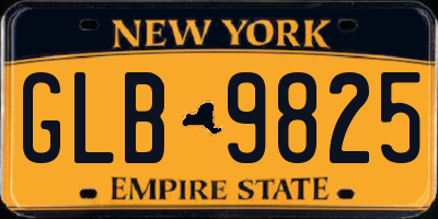 NY license plate GLB9825