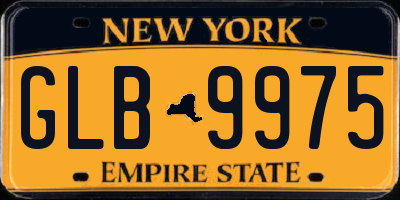 NY license plate GLB9975