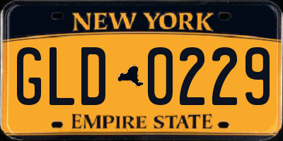 NY license plate GLD0229
