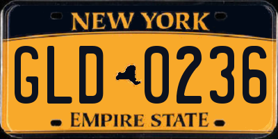 NY license plate GLD0236