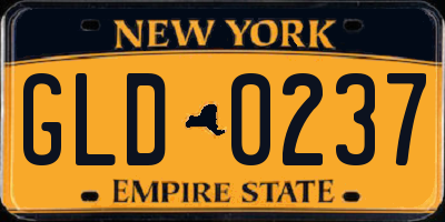 NY license plate GLD0237