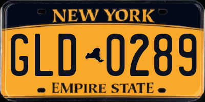 NY license plate GLD0289