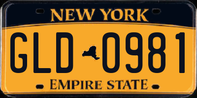 NY license plate GLD0981