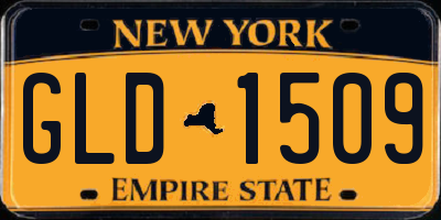 NY license plate GLD1509