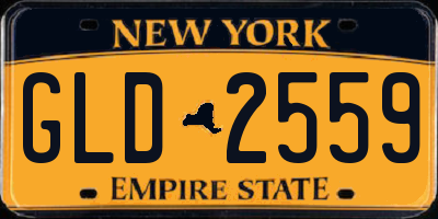 NY license plate GLD2559