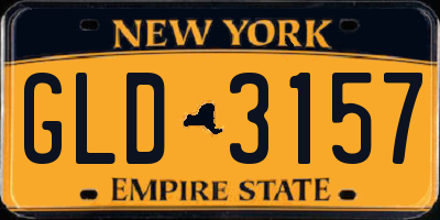 NY license plate GLD3157