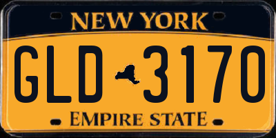NY license plate GLD3170