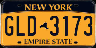 NY license plate GLD3173