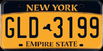 NY license plate GLD3199
