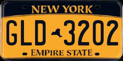 NY license plate GLD3202