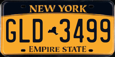 NY license plate GLD3499