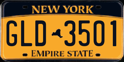 NY license plate GLD3501