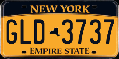 NY license plate GLD3737
