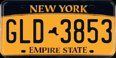 NY license plate GLD3853