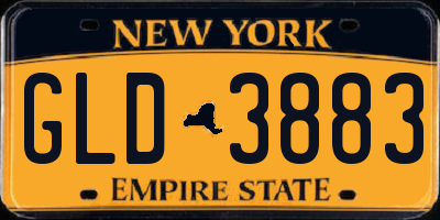 NY license plate GLD3883