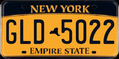 NY license plate GLD5022