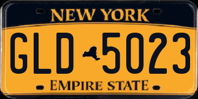NY license plate GLD5023