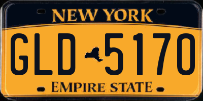 NY license plate GLD5170