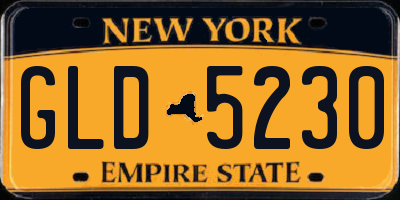 NY license plate GLD5230