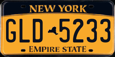 NY license plate GLD5233