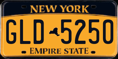 NY license plate GLD5250