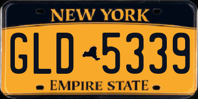 NY license plate GLD5339