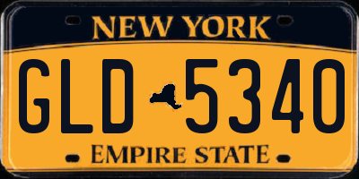 NY license plate GLD5340