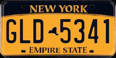 NY license plate GLD5341