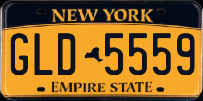 NY license plate GLD5559