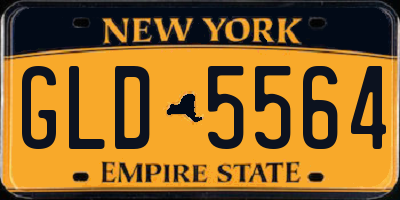 NY license plate GLD5564