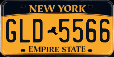 NY license plate GLD5566